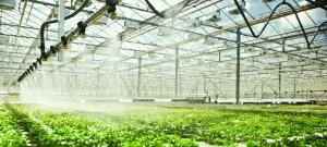 نیاز آبی محصول در گلخانه